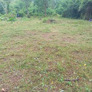 Excellent Land in Panadura for Sale - Image 3