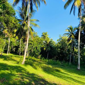 Land for sale in Beliatta - Image 2