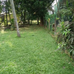 Valuable Residential Land for Sale in Kelaniya. - Image 2