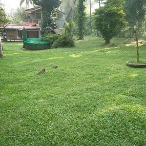 Valuable Residential Land for Sale in Kelaniya. - Image 3
