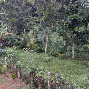 කලුතර ඉඩමක් විකිණීමට - Image 2