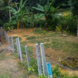 කලුතර ඉඩමක් විකිණීමට - Image 3