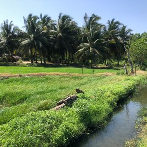 Land Sale Hambantota - Image 2