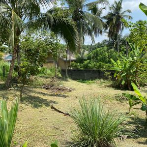 Kadawatha Land For Sale - Residential Area - Image 2