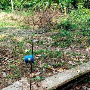 Land for Sale in Kandana - Image 2