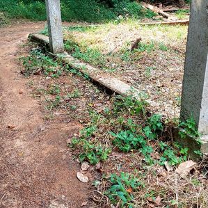 Land for Sale in Kandana - Image 3