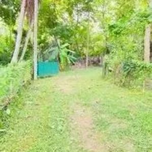 Land for Sale - Marawila - Image 3