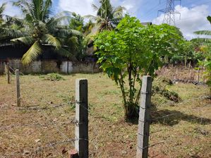 Land for Sale in Thalawathugoda