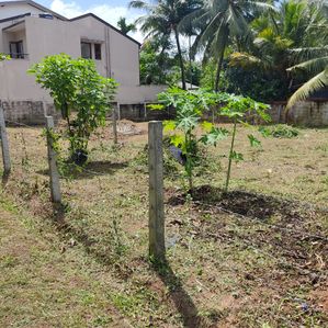 Land for Sale in Thalawathugoda - Image 3