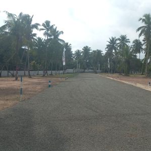 Land In Nittambuwa - Image 3