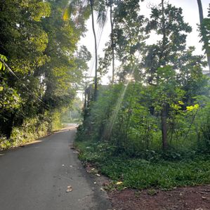 Meegoda Land for Sale - Image 2