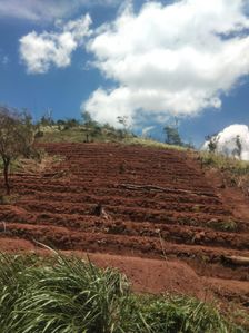 10 Acres of Tourism Paradise Land Matale For Sale (NK10640)
