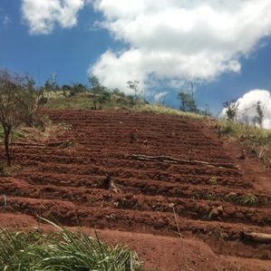 10 Acres of Tourism Paradise Land Matale For Sale (NK10640) - Image 2