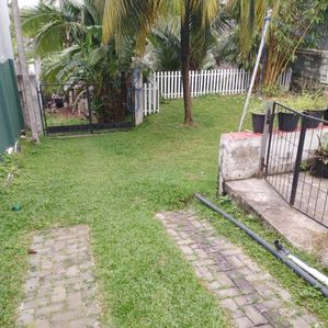 Land with House for Sale – Enderamulla, Wattala - Image 2