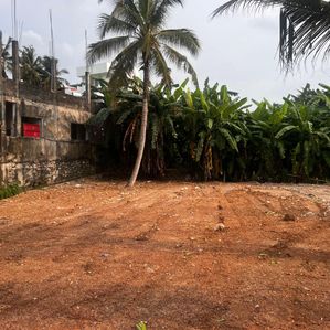 10.25 Perches Land for Sale in Kalubowila Ratnaveli Road - Image 2