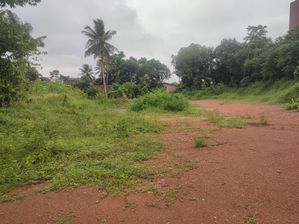 Land For Sale Kadana Bollatha