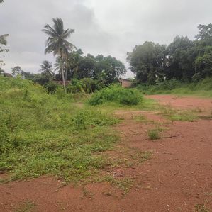 Land For Sale Kadana Bollatha - Image 2