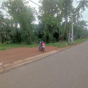 Land For Sale Kadana Bollatha - Image 3