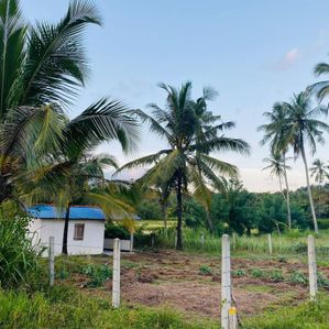 Land for Sale Kurunegala - Image 2