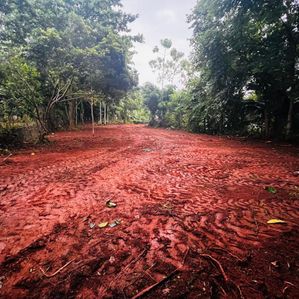Land for Sale in Panadura - Image 2