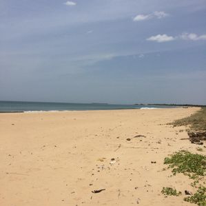 Beach view Land For Sale Batticaloa - Image 3
