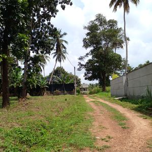 Land For Sale Kuliyapitiya - Image 2