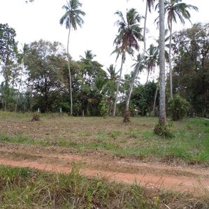 Land For Sale Kuliyapitiya - Image 3