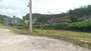 Land for sale Nuwara Eliya for sale
