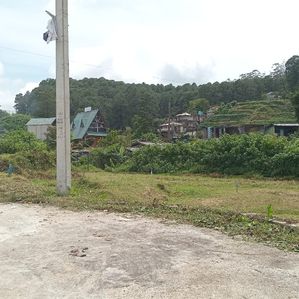 Land for sale Nuwara Eliya - Image 2