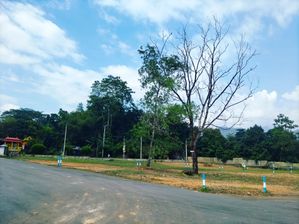 කුරුවිට පැරඩයිස් හන්දිය අගනා බිම් කොටස් for sale