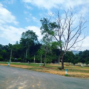 කුරුවිට පැරඩයිස් හන්දිය අගනා බිම් කොටස් - Image 2