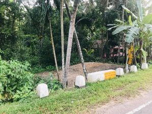 12 Perch Land for Sale in Pelmadulla