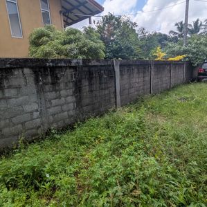 Land for Sale in Katuwala-Werahara - Image 2