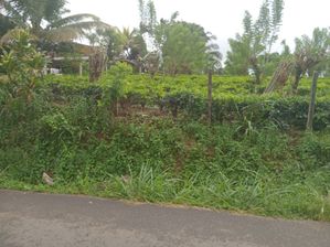 Residential Land close to Pilimathalawa City