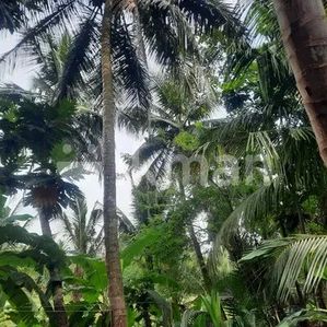 Land For Sale In Kurunegala Mawathagama - Image 3