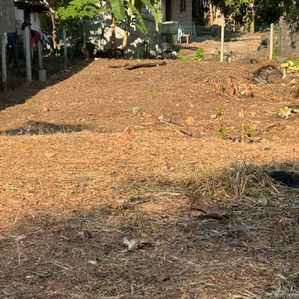 Land for Sale in Piliyandala - Image 2