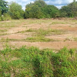 Prime Commercial Land for Sale – Anuradhapura (Facing a Main Road) - Image 3