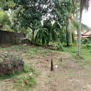Land for Sale Panagod Junction - Image 2