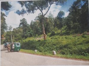 Large Land for Sale Kamburupitiya