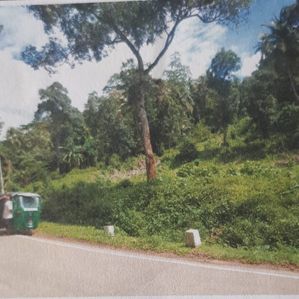 Large Land for Sale Kamburupitiya - Image 2