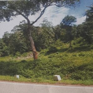 Large Land for Sale Kamburupitiya - Image 3