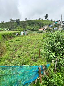 Nuwara Eliya Land for Sale