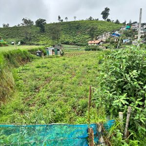 Nuwara Eliya Land for Sale - Image 2