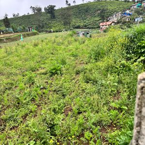 Nuwara Eliya Land for Sale - Image 3