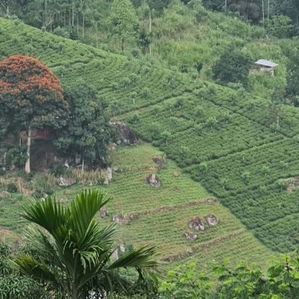 Land for Sale in Ramboda CL- 652 - Image 2