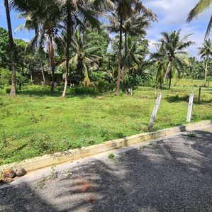 Land for Sale in Meegoda - Image 2