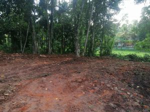 Bare Land for Sale Yakkala Eksath Mawatha