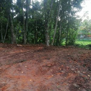 Bare Land for Sale Yakkala Eksath Mawatha - Image 2