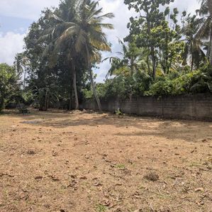 Prime Land for Sale - Katuwapitiya - Image 3