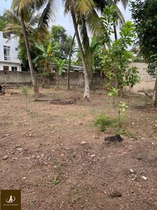 Cosy Land Close To Main Road Sapuguskanda Sale ( Code Dsp 070 )